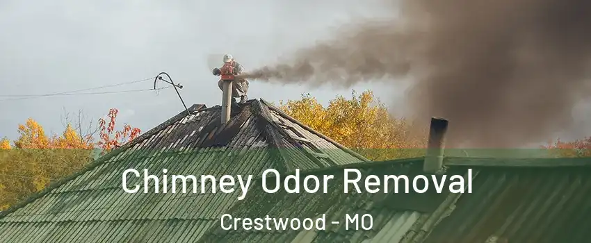 Chimney Odor Removal Crestwood - MO