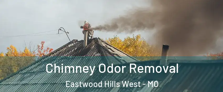 Chimney Odor Removal Eastwood Hills West - MO