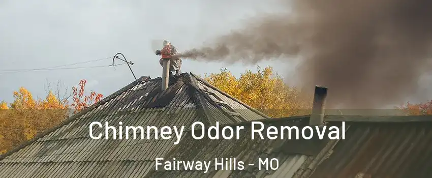 Chimney Odor Removal Fairway Hills - MO