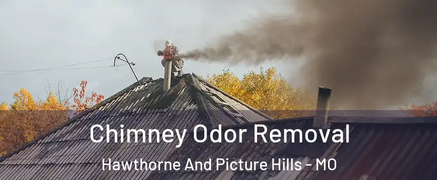 Chimney Odor Removal Hawthorne And Picture Hills - MO