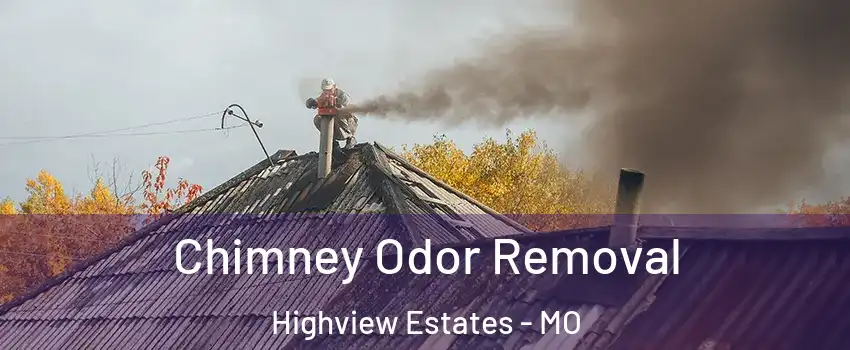 Chimney Odor Removal Highview Estates - MO