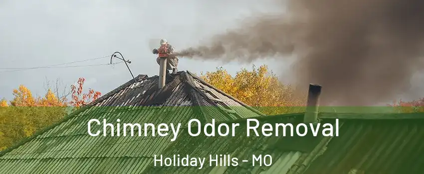 Chimney Odor Removal Holiday Hills - MO