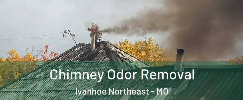 Chimney Odor Removal Ivanhoe Northeast - MO