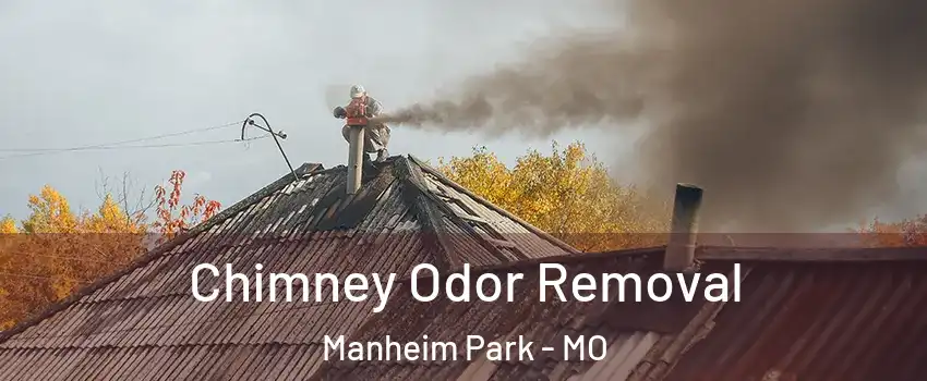 Chimney Odor Removal Manheim Park - MO