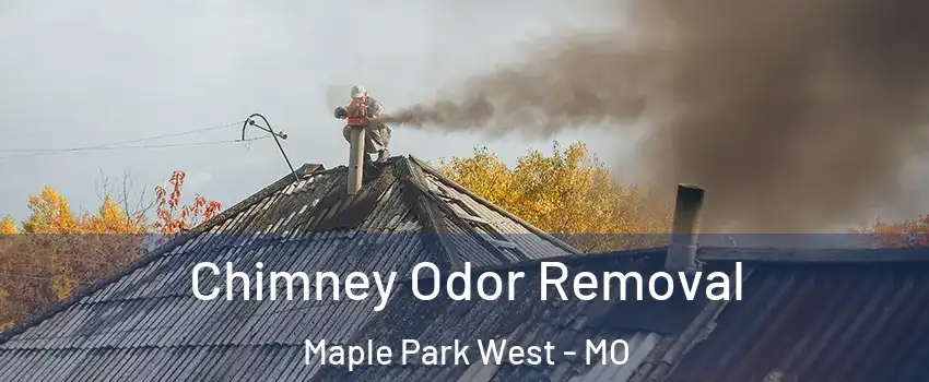 Chimney Odor Removal Maple Park West - MO