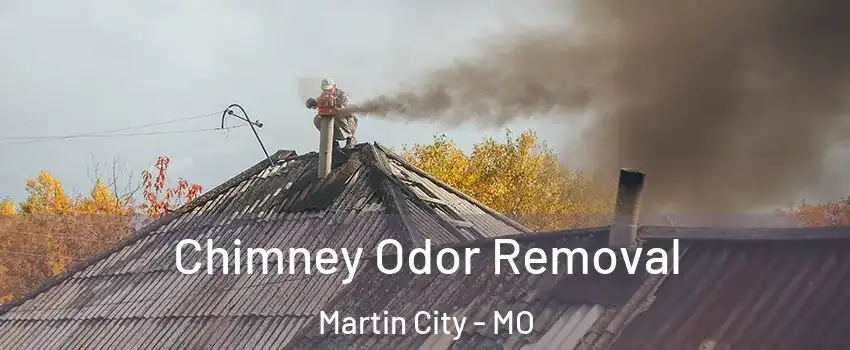 Chimney Odor Removal Martin City - MO