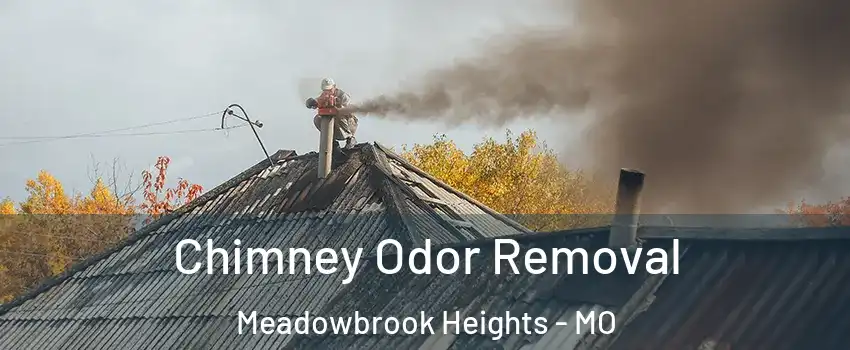 Chimney Odor Removal Meadowbrook Heights - MO