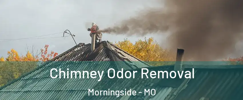 Chimney Odor Removal Morningside - MO