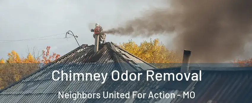 Chimney Odor Removal Neighbors United For Action - MO