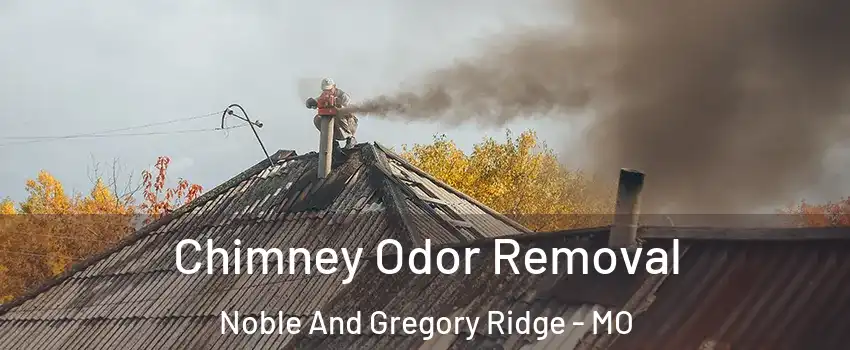 Chimney Odor Removal Noble And Gregory Ridge - MO