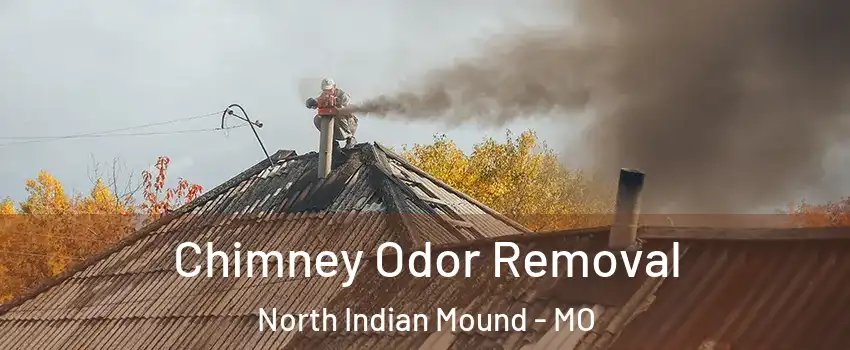 Chimney Odor Removal North Indian Mound - MO