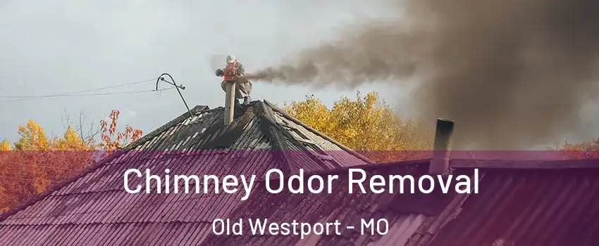 Chimney Odor Removal Old Westport - MO