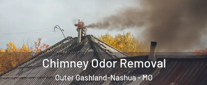 Chimney Odor Removal Outer Gashland-Nashua - MO