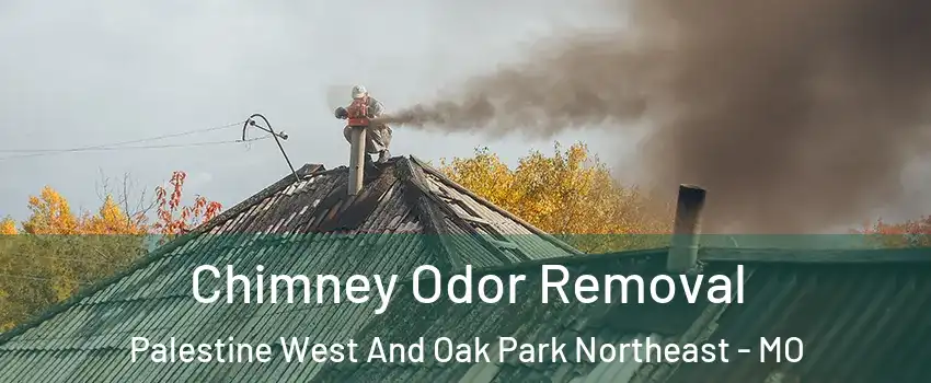 Chimney Odor Removal Palestine West And Oak Park Northeast - MO