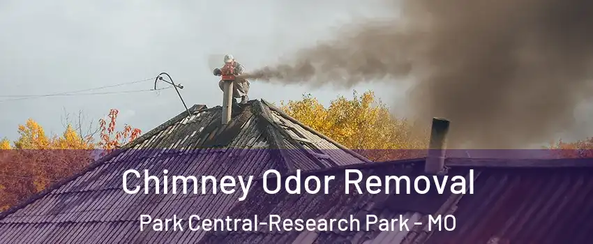 Chimney Odor Removal Park Central-Research Park - MO