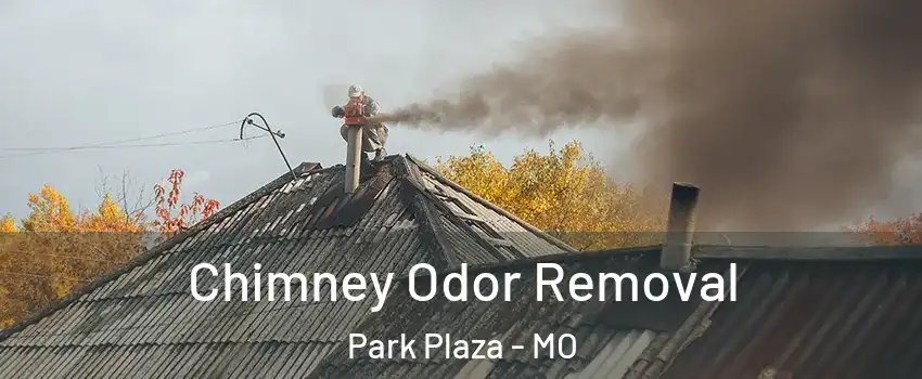 Chimney Odor Removal Park Plaza - MO