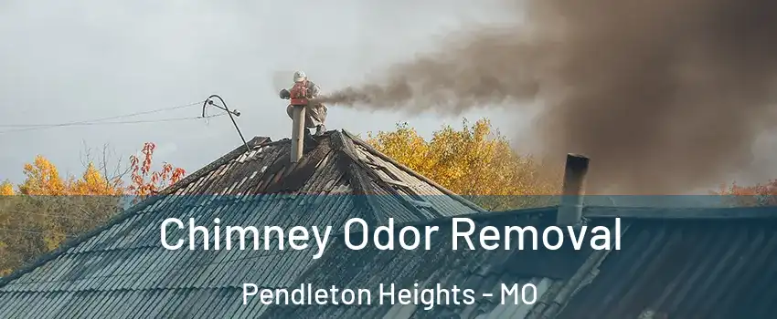 Chimney Odor Removal Pendleton Heights - MO