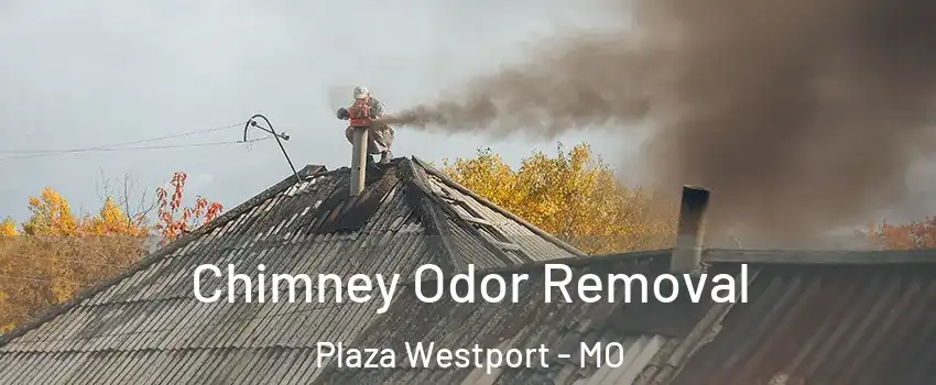 Chimney Odor Removal Plaza Westport - MO