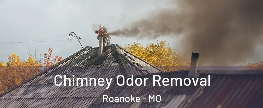 Chimney Odor Removal Roanoke - MO