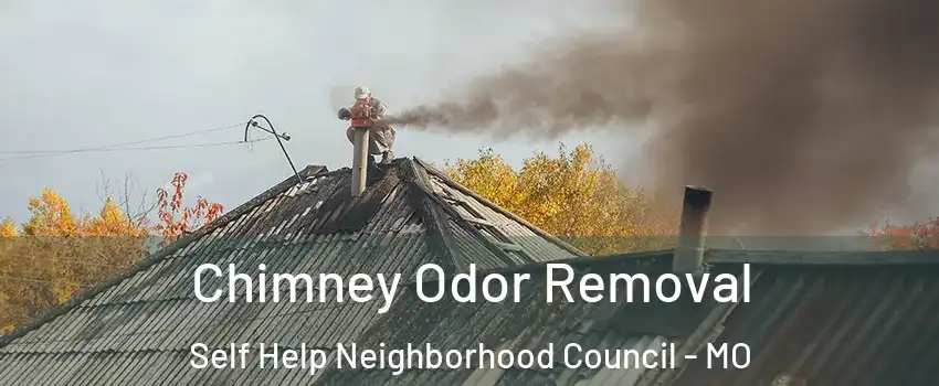 Chimney Odor Removal Self Help Neighborhood Council - MO