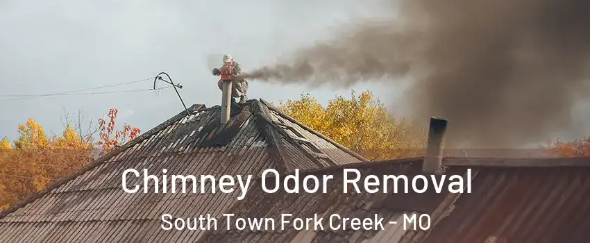 Chimney Odor Removal South Town Fork Creek - MO