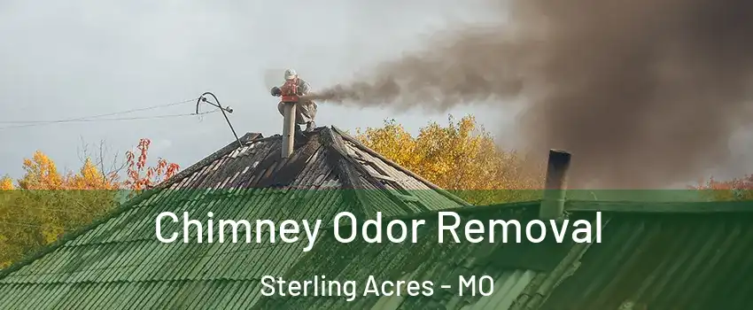 Chimney Odor Removal Sterling Acres - MO