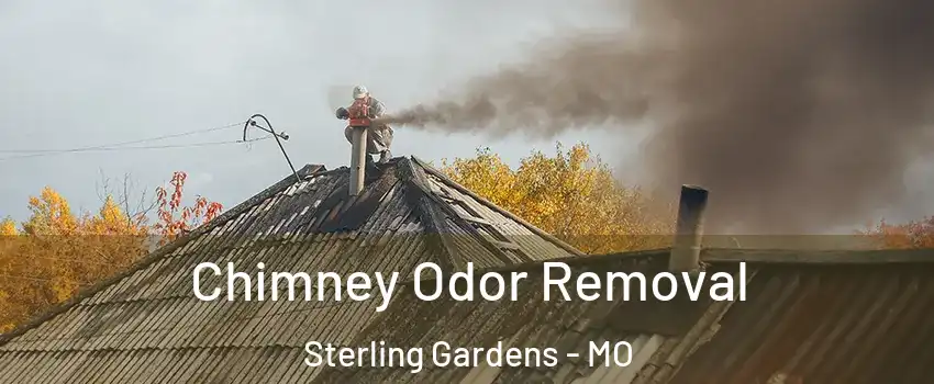 Chimney Odor Removal Sterling Gardens - MO