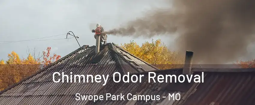 Chimney Odor Removal Swope Park Campus - MO