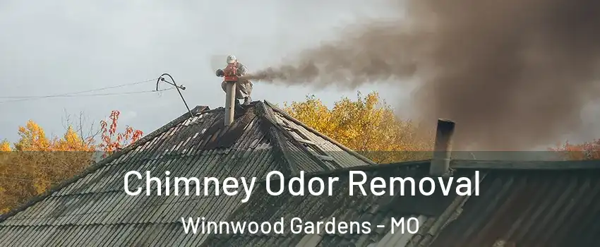 Chimney Odor Removal Winnwood Gardens - MO