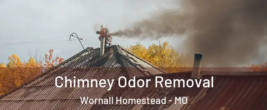 Chimney Odor Removal Wornall Homestead - MO