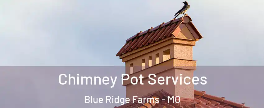 Chimney Pot Services Blue Ridge Farms - MO