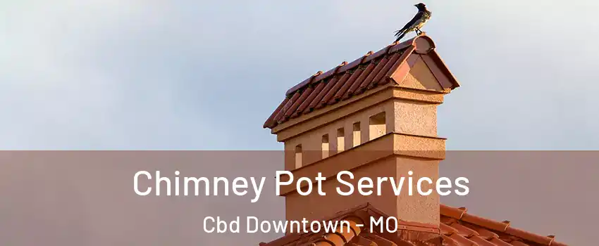 Chimney Pot Services Cbd Downtown - MO