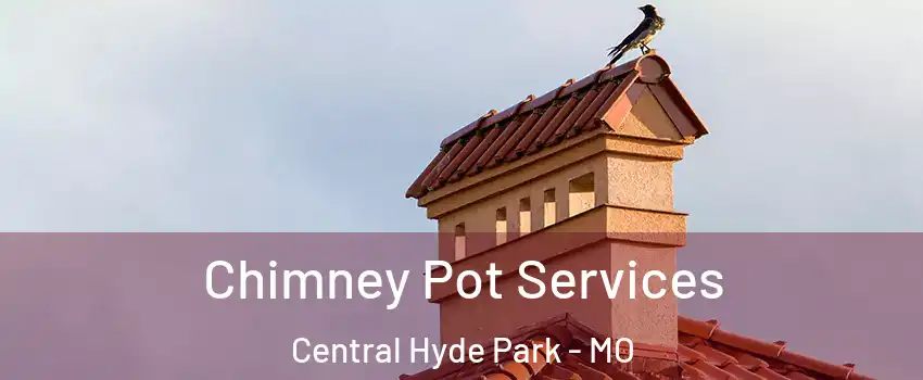 Chimney Pot Services Central Hyde Park - MO