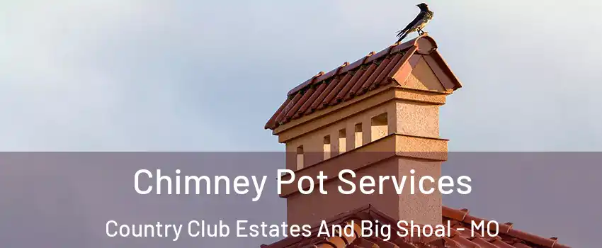 Chimney Pot Services Country Club Estates And Big Shoal - MO