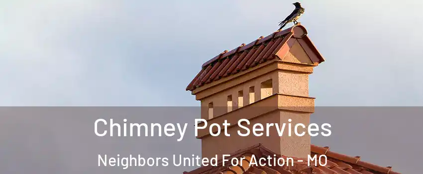 Chimney Pot Services Neighbors United For Action - MO