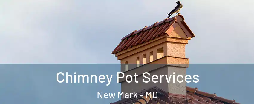 Chimney Pot Services New Mark - MO