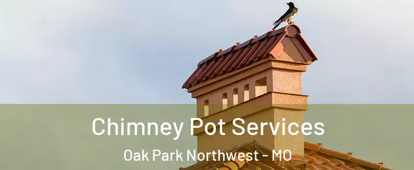 Chimney Pot Services Oak Park Northwest - MO