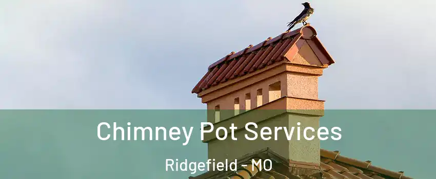 Chimney Pot Services Ridgefield - MO