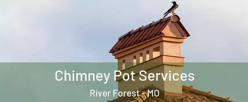 Chimney Pot Services River Forest - MO