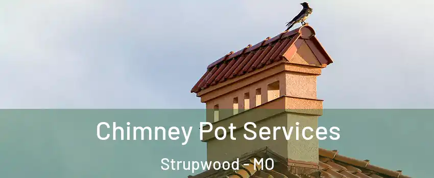 Chimney Pot Services Strupwood - MO