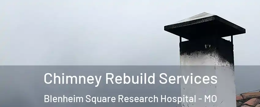 Chimney Rebuild Services Blenheim Square Research Hospital - MO