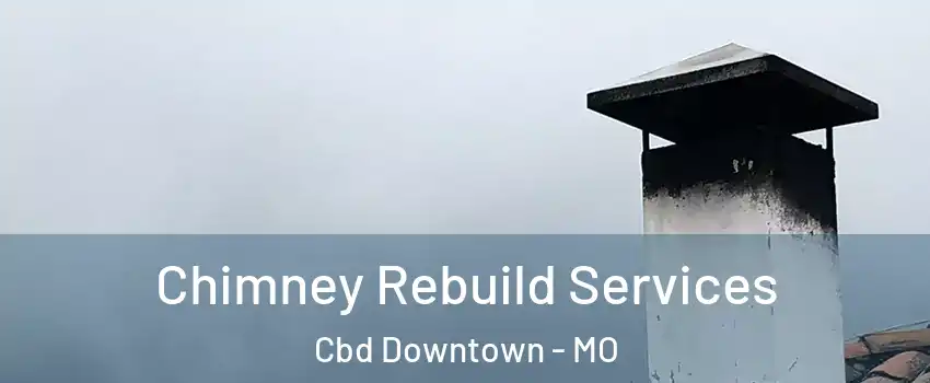 Chimney Rebuild Services Cbd Downtown - MO