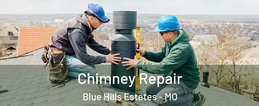 Chimney Repair Blue Hills Estates - MO