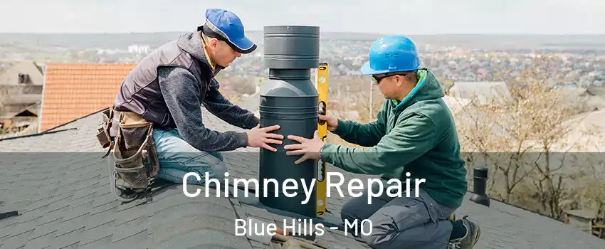 Chimney Repair Blue Hills - MO