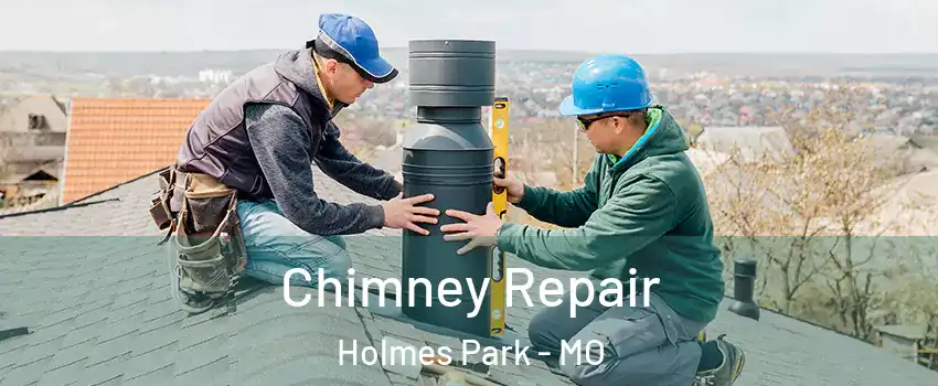 Chimney Repair Holmes Park - MO