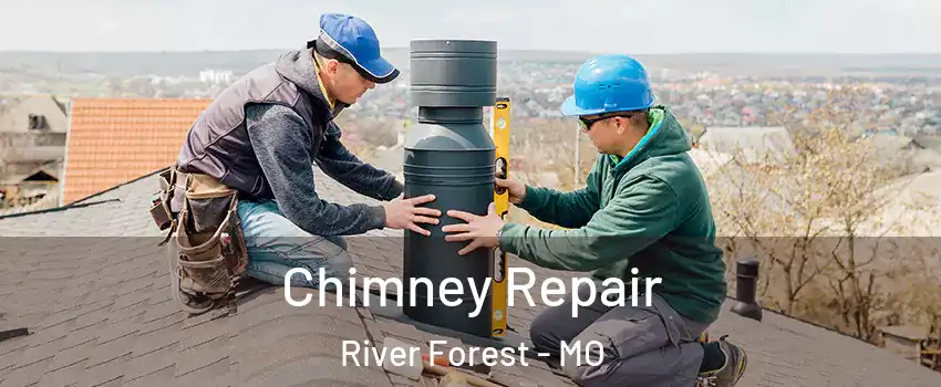 Chimney Repair River Forest - MO