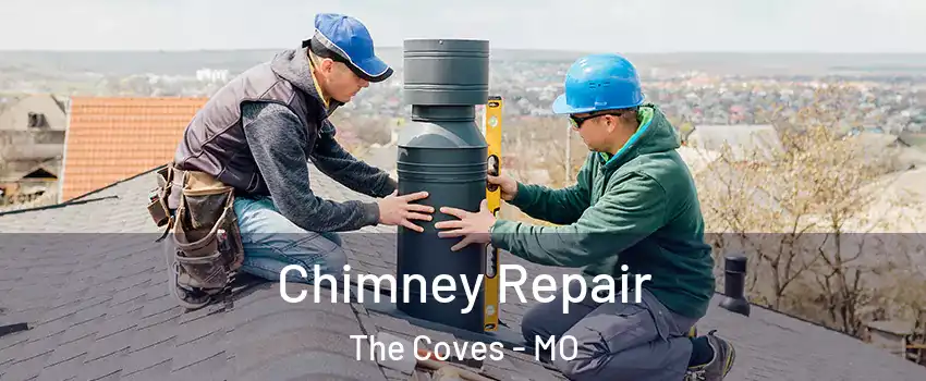 Chimney Repair The Coves - MO