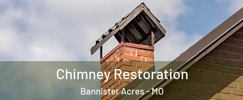 Chimney Restoration Bannister Acres - MO