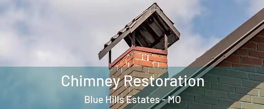 Chimney Restoration Blue Hills Estates - MO