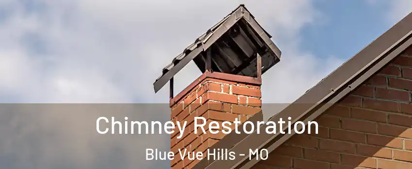 Chimney Restoration Blue Vue Hills - MO